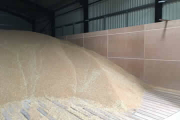 Grain drying floors
