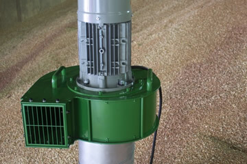 Grain pedestals and fans