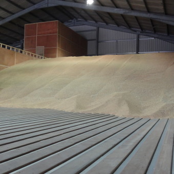 Hardwood Grain Drying Floor