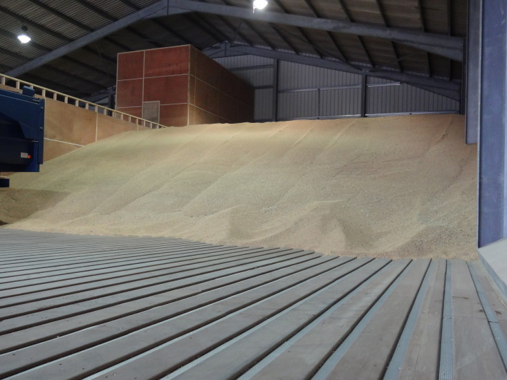 Hardwood Grain Drying Floor
