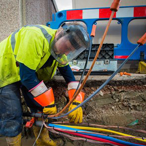  Turnkey Food and Feed Project Mains Power Supply