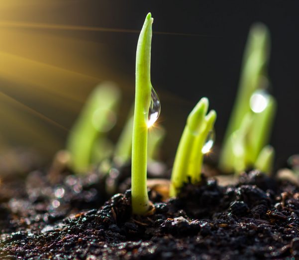  Grain Handling Equipment